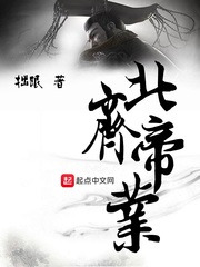 九星神宠